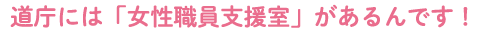 道庁には「女性職員支援室」があるんです！