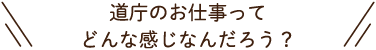 道庁のお仕事ってどんな感じなんだろう？