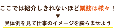 ここでは紹介しきれないほど業務は様々！