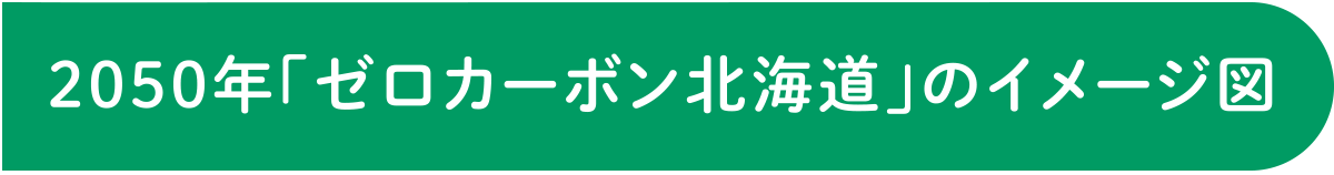 2050年「ゼロカーボン北海道」のイメージ図